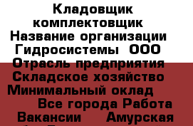 Кладовщик-комплектовщик › Название организации ­ Гидросистемы, ООО › Отрасль предприятия ­ Складское хозяйство › Минимальный оклад ­ 25 000 - Все города Работа » Вакансии   . Амурская обл.,Благовещенский р-н